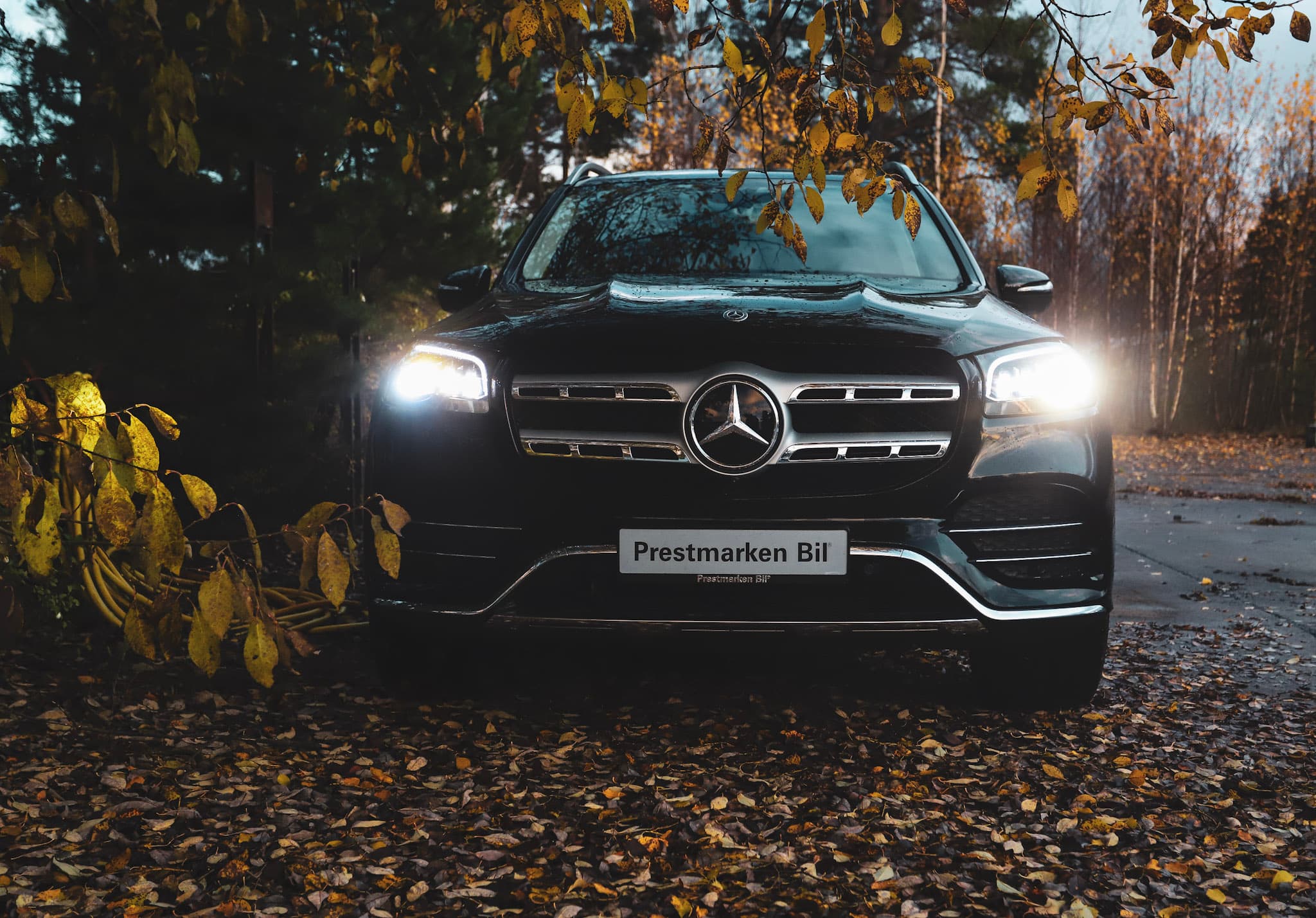 Prestmarken Bil showroom